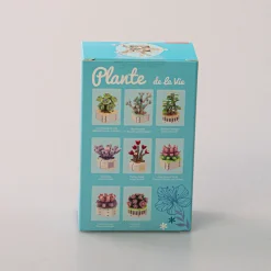 MINISO Costruzione - Pianta Grassa Best