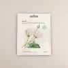 MINISO Premium Botanica Facial Mask - Purifying Discount