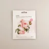 MINISO Premium Botanica Facial Mask - Smoothing